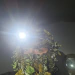Brayden Barnhart - @braydenleonbarnhart - Instagram