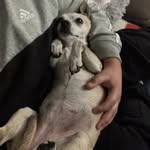 Brayden leon guerrero - @bclg13 - Instagram