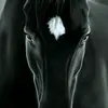 Brayden.Mackey - @user19403821 - TikTok