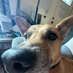 Brayden Marks - Facebook