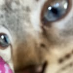 brayden marks - @braydennmarks - Instagram