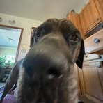 Brayden Marks - Facebook
