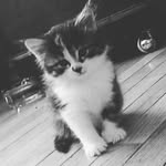 Brayden Marks - @braydenmarks - Instagram