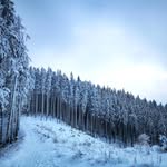 Brayden Marks - @braydenmarks5 - Instagram