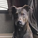 Brayden Maxwell - @vondy_bot - Instagram