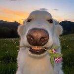 BraydenMcbride - @aceyo_s - Instagram