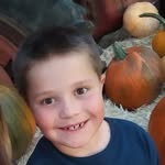 brayden mccarthy - @brayden_mccarthy_ - Instagram