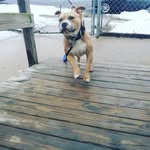 Brayden McCarty - @faze_brayden31 - Instagram