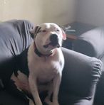 Braiden McClain - Facebook