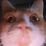 Brayden McClain - @brayden.mcclain.507 - Instagram