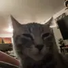 braydenmcqueen5 - @braydenmcqueen5 - TikTok