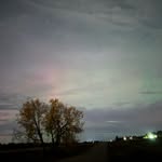 Brayden Meyer - @braydenm_009 - Instagram
