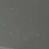 Brayden Michael - @braydenmichael2 - TikTok