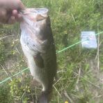 Brayden Moore - Facebook