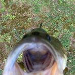 Brayden Moore - Facebook
