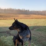 Brayden Morrison - Facebook