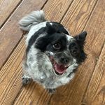 Brayden Morrow - @braydenmorrow07 - Instagram