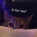 BraydenMorrow - @braydenmorrow33 - Instagram