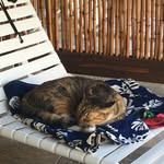 Brayden Moss - @braydens20time - Instagram