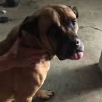Brayden Murray - @brayden.murray2833 - Instagram