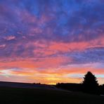 Brayden Olson - Facebook