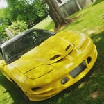 Brayden Orr - @that_boosted_bird - Instagram