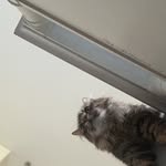 Brayden - @braydenpace2011 - Instagram