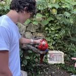 @brayden.parkinson - Instagram