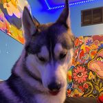 Brayden - @__brayden_patterson__ - Instagram