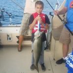 Brayden Pearson - Facebook