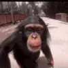 brayden.perry - @brayden.perry - TikTok