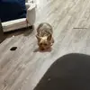 Brayden Pierce - @brayden.pierce01 - TikTok