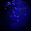 Brayden Porter - @braydenporter01 - TikTok