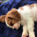 Brayden Powell - @braydenpowell75 - Instagram