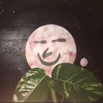 Brayden Powell - @_brayden__powell_ - Instagram