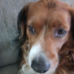 Brayden Powers - Facebook