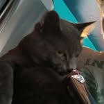 brayden proctor - @braydenproctor6 - Instagram