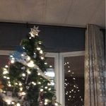 Brayden Rees - @braydenc_rees - Instagram