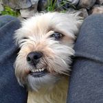 Brayden Rees - @brayden_rees - Instagram