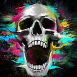 Braden Rhoades - @bradenrhoades - Instagram