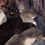 Brayden Rhoades - Facebook