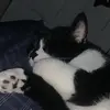 brayden.rhoades - @brayden.rhoades - TikTok