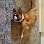 Brayden Rivera - @brayden__rivera101107 - Instagram