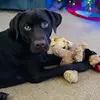 Brayden Rivers - @brayden.rivers4 - TikTok
