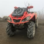 Brayden Roy - @brayden_roy16 - Instagram