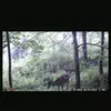Brayden Ryan - @brayden.ryan1 - TikTok