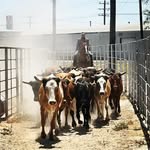 Brayden Schultz - @b.brayden21 - Instagram