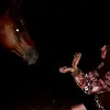 Brayden Schultz - @braydenschultz10 - TikTok