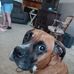 Brayden Scott - Facebook