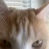 braydenshaffer216 - @braydenshaffer216 - TikTok